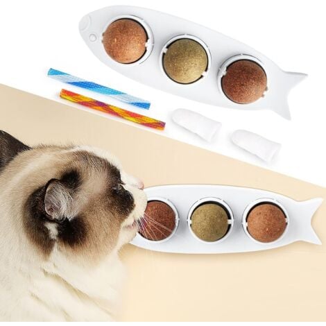 Rotating Catnip - Natural Cat Toy - Edible Toy - Wall Ball Dog Chew - Fingers - Toothbrush and Kitty Spring - Interactive Toy - White