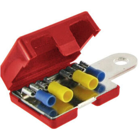 Roter Pluspol für Mehrfachanschlüsse – Anschlussdurchmesser 8 mm – 4 Anschlussmöglichkeiten – Spezielle Anwendungen