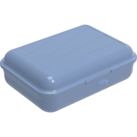 Rotho Brotdose Funbox 1,25 l, 19,5 x 14,5 x 6,5 cm, horizon blue Boxen, Körbchen & Kisten