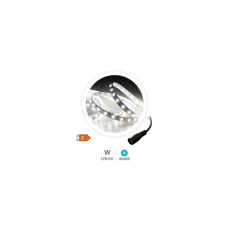 Rotolo 5M Striscia led 12W/M 6000-6500K IP44 24V