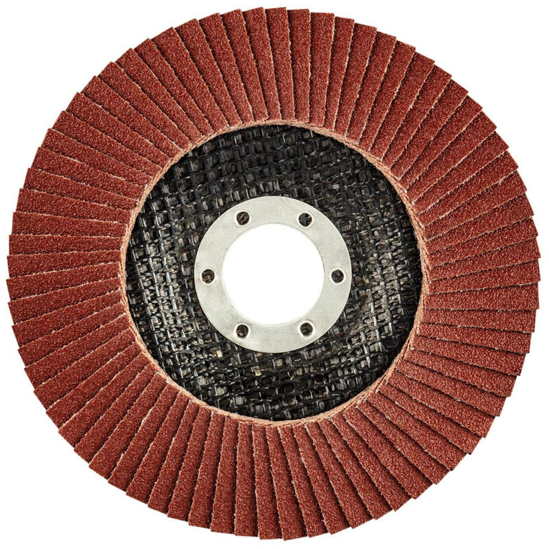 Raspelscheibe 25x22.2mm, K120 Graphite 55h991