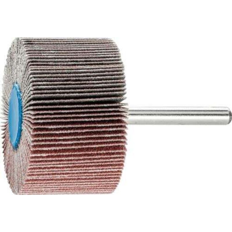 PFERD TOOLS 44503126 Fächerschleifer Durchmesser 50mm 10St.