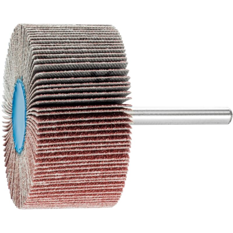 Pferd - roue abr.ã lamelles GR.80 ã 60XH.30MM queue serrage 6MM