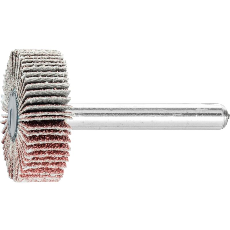 Pferd - roue abr.ã lamelles GR.80 ã 30XH.10MM queue serrage 6MM