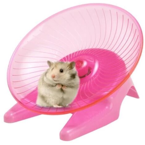 Roue d'exercice - Hamster - Transparent - Antidérapante - Diamètre 7 pouces - Silencieuse