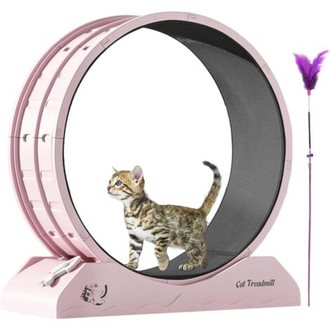 Roue d'exercice silencieuse pour chat - Roue d'exercice pour