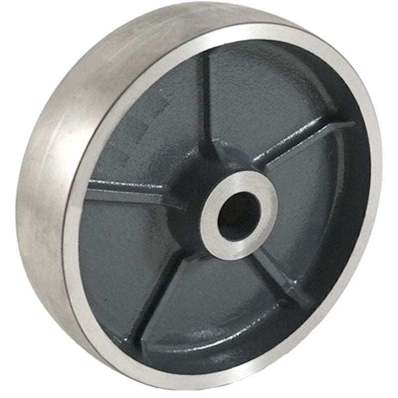 Roue fonte 125 x 40 alésage 20 longueur de moyeu 44 mm