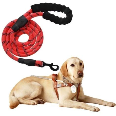 (Rouge)Laisse Chien1,5m - Nylon - Mains-libres - Sécurisée et Confortable