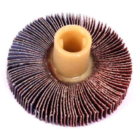 Rouleau à lamelles 60 x 10 mm pour ponceuse à brunir