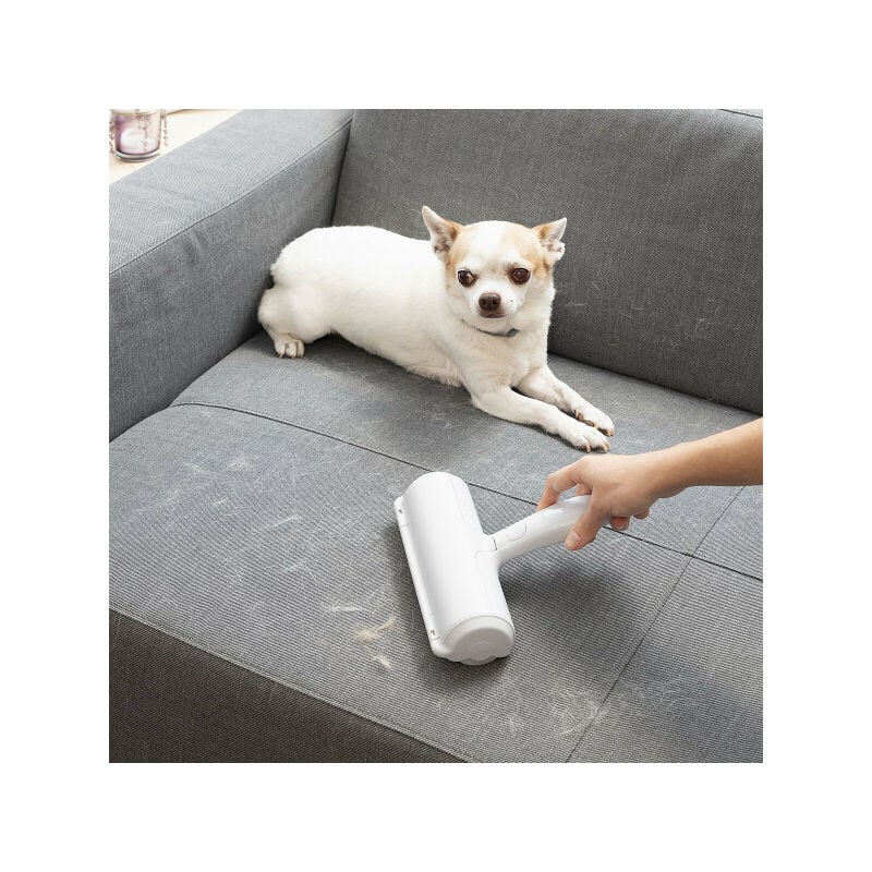 Innovagoods - Rouleau Anti-poil d'Animaux Rellair