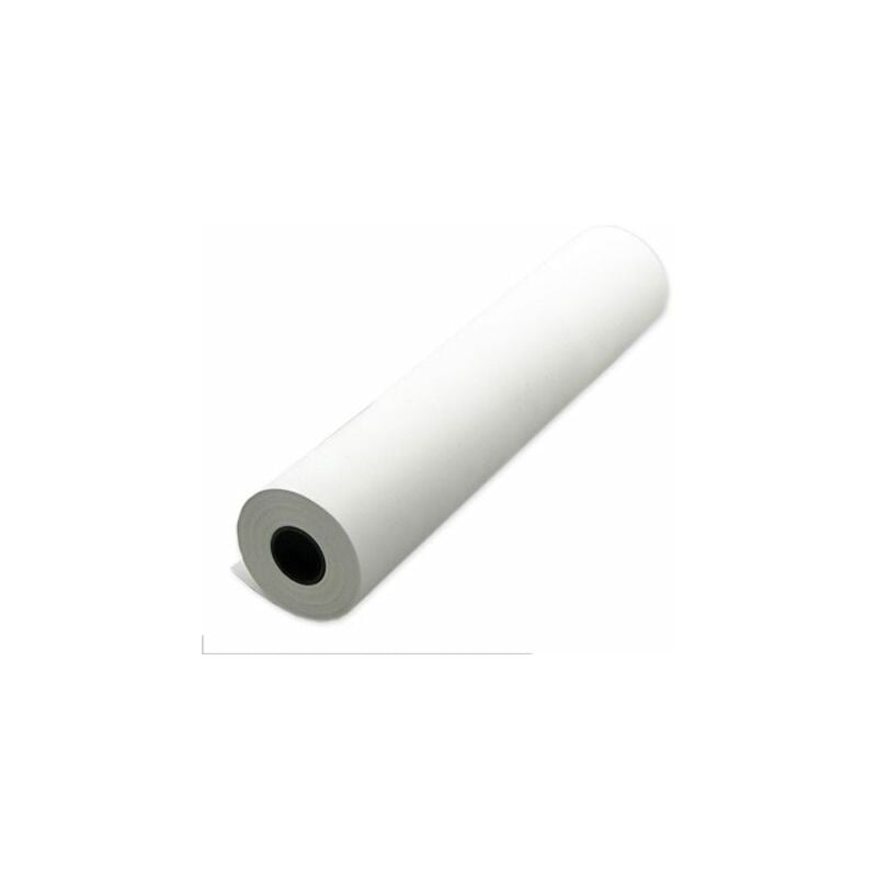 Rouleau de papier thermique 110 x 10 m Sefram pour DAS30, DAS50, DAS60 ( Prix pour 1 )