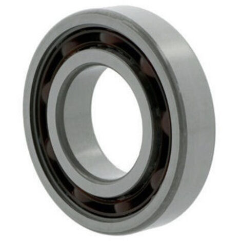 Roulement à billes à gorge profonde 6000 -ZTN9/LT int 10mm Ext 26mm Ep. 8mm SKF