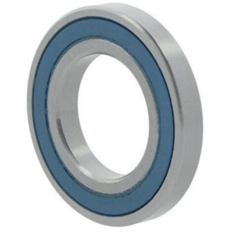 Roulement à billes inox INA/FFAG 6300H2RS