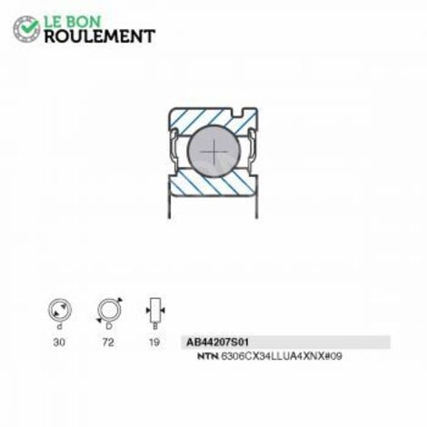 Roulement à rouleaux AB44207S01-SNR
