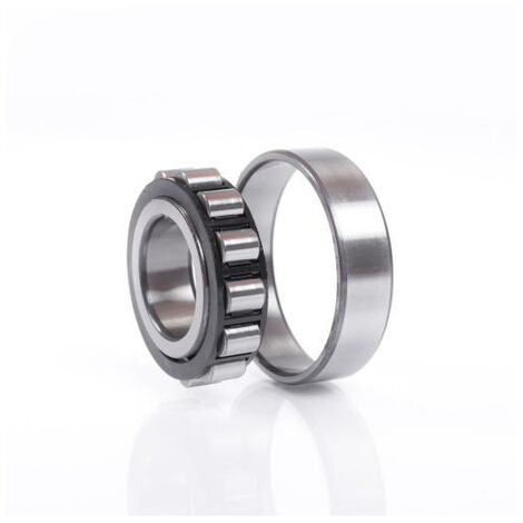 Roulement à rouleaux cylindriques N204 ETVP2C3 Int. 20mm Ext. 47mm Large 14mm FAG
