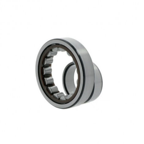 Roulement à rouleaux cylindriques NU209 ECNP Int. 45mm Ext. 85mm Large 19mm SKF