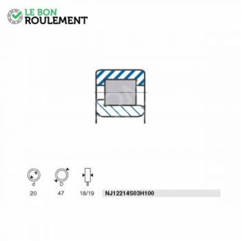 Roulement à rouleaux NJ12214S03H100-SNR