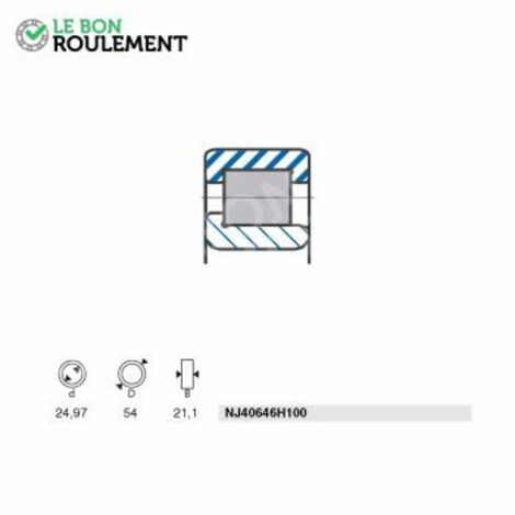Roulement à rouleaux NJ40646H100-SNR