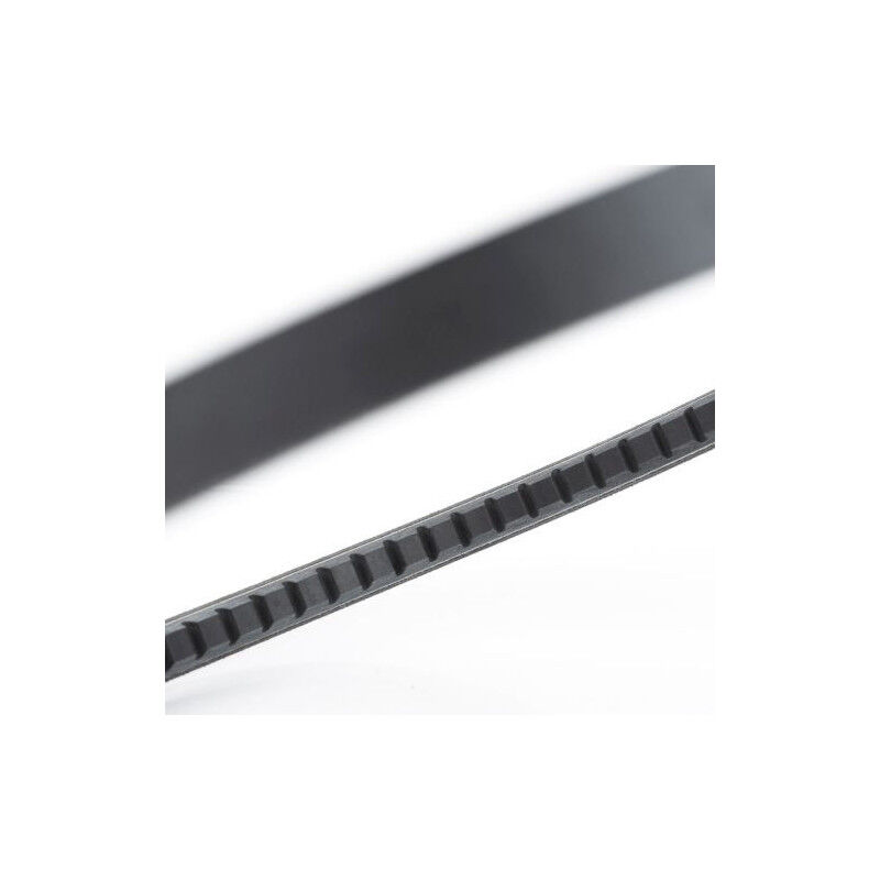 FP - Courroies trapézoïdales à bords ouverts BX61 X17x1550 0.269kg swr