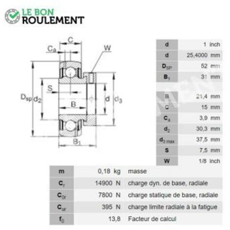 Roulement de palier GRA100-NPP-B-AS2-V-INA