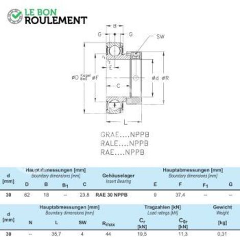 Roulement de palier RAE30-NPP-NKE