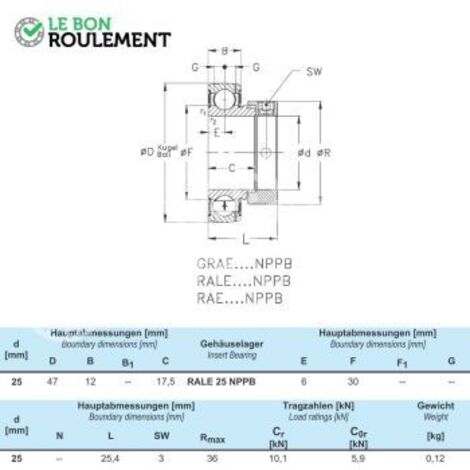 Roulement de palier RALE25-NPP-NKE