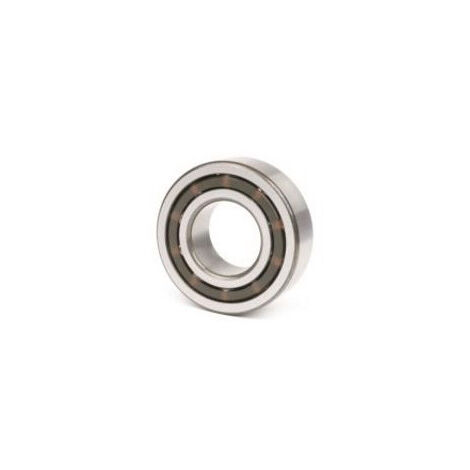 Roulements à billes 4304 BTV 21mm Ext 52mm Int 20mm NKE