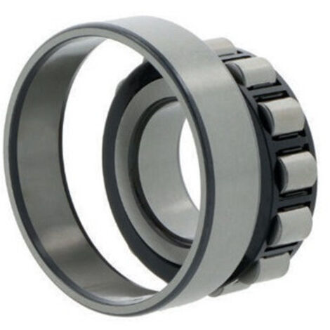 Roulements à rouleaux cylindriques N205 -E-TVP-C3 ID 25mm AD 52mm Largeur 15mm NKE
