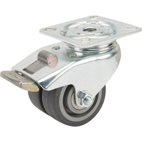 Roulettes pivotantes doubles TENTE 2975PJP050P40