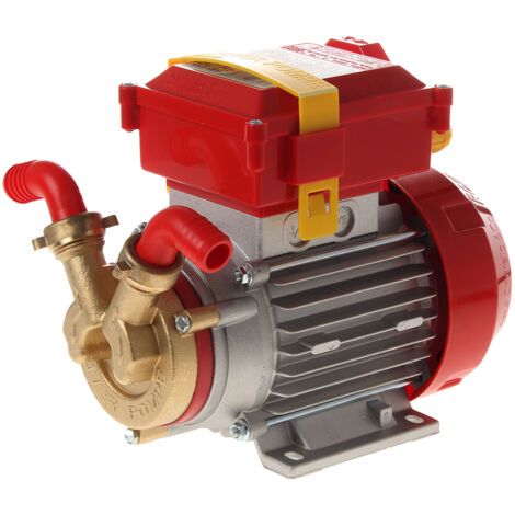 Rover Pompe ELETTROPOMPA DA TRAVASO  ROVER 20 CE  Hp 0,50 (Ø mm. 20)