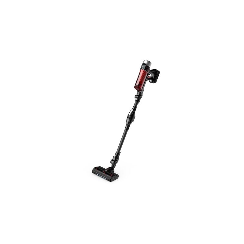 Aspirateur balai X-Force Flex 9.60 Kit Animal RH2078WO
