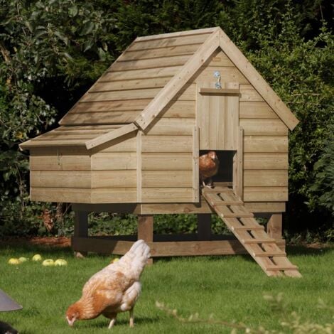 Rowlinson Chicken Coop