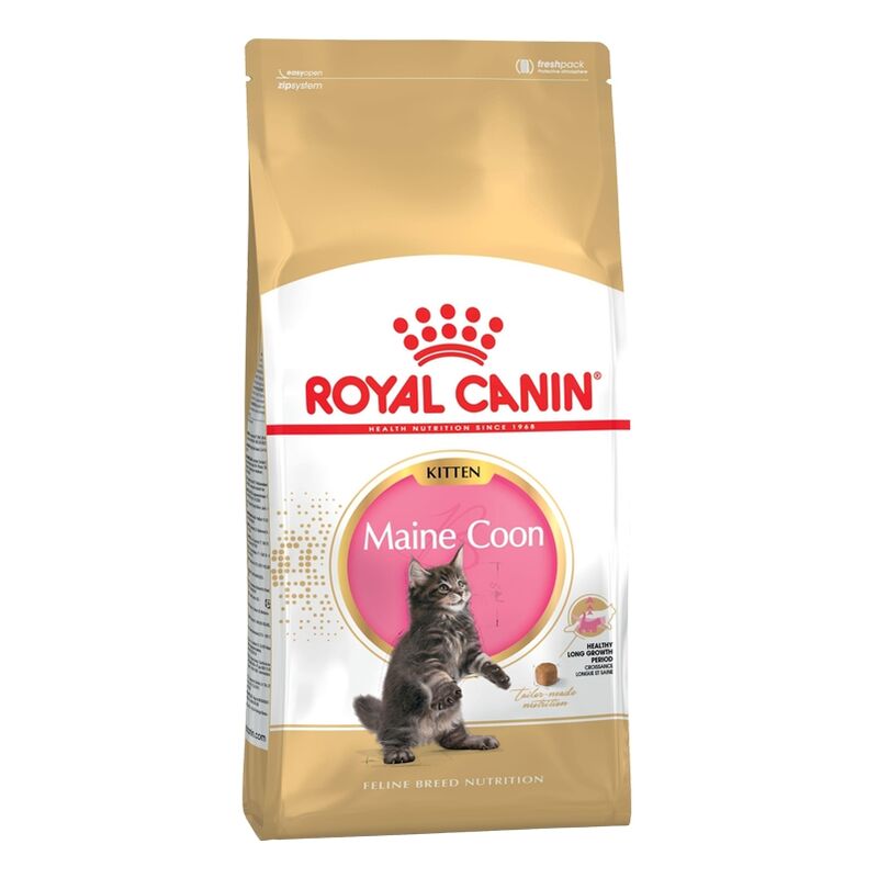 

36 SACO DE PIENSO PARA GATITO MAINE COON - Royal Canin