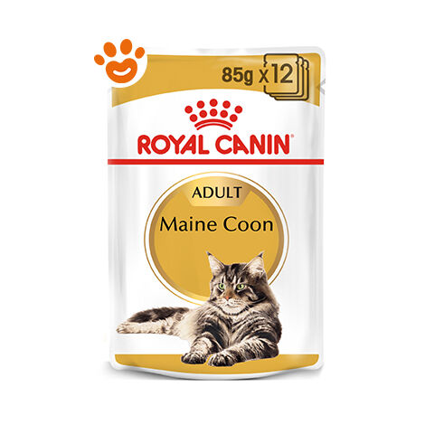 Royal Canin Cat Adult Maine Coon  - Royal Canin Cat Adult Maine Coon - Bustina Da 85 Gr