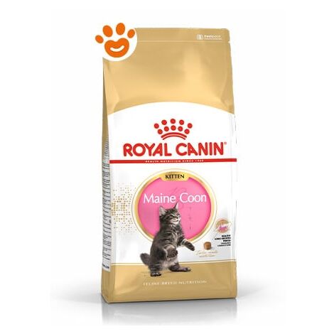 Royal Canin Cat FBN Kitten Maine Coon  - Royal Canin Cat FBN Kitten Maine Coon - Sacco Da 2 Kg