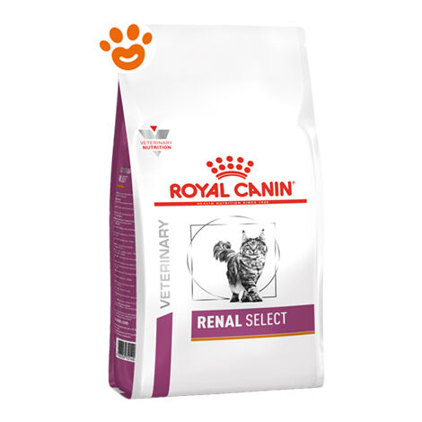 Royal Canin Cat Veterinary Diet Renal Select  - Royal Canin Cat Veterinary Diet Renal Select - Sacco Da 4 Kg