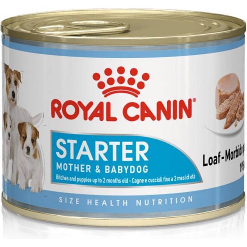 Royal Canin Starter Mousse – Futter für Welpen und Mütter