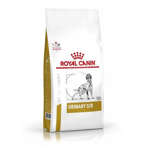Royal Canin Urinary S/O per Cane