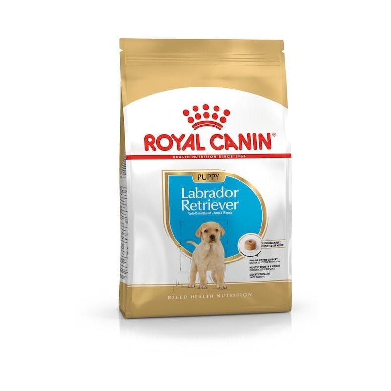 Royal Canin - Croquettes pour chien shn Race Labrador Junior - 12 kg