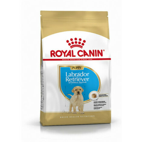 Croquettes Royal Canin Labrador Retriever Junior Sac 3 kg