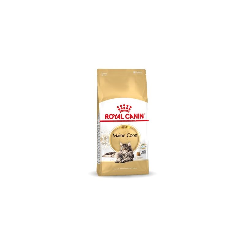Royal Canin - fbn Maine Coon Nourriture sèche pour chat adulte - 10kg Royal Canin - fbn Maine Coon Nourriture sèche pour chat adulte - 10kg