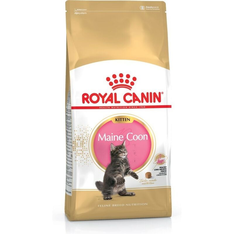 Maine Coon Kitten chats nourriture sèche volaille, riz 4 kg - Royal Canin