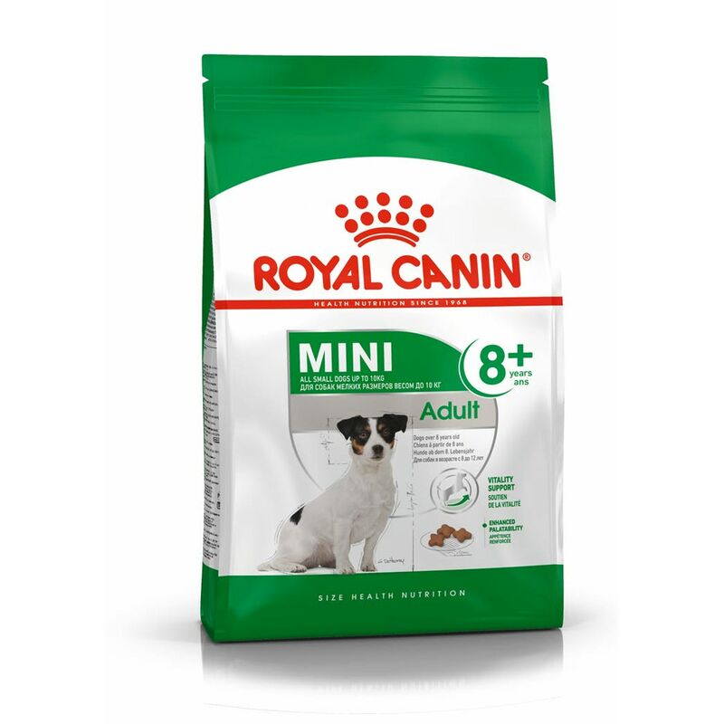 Royal Canin - Croquettes Chien Mini Mature : 8 kg