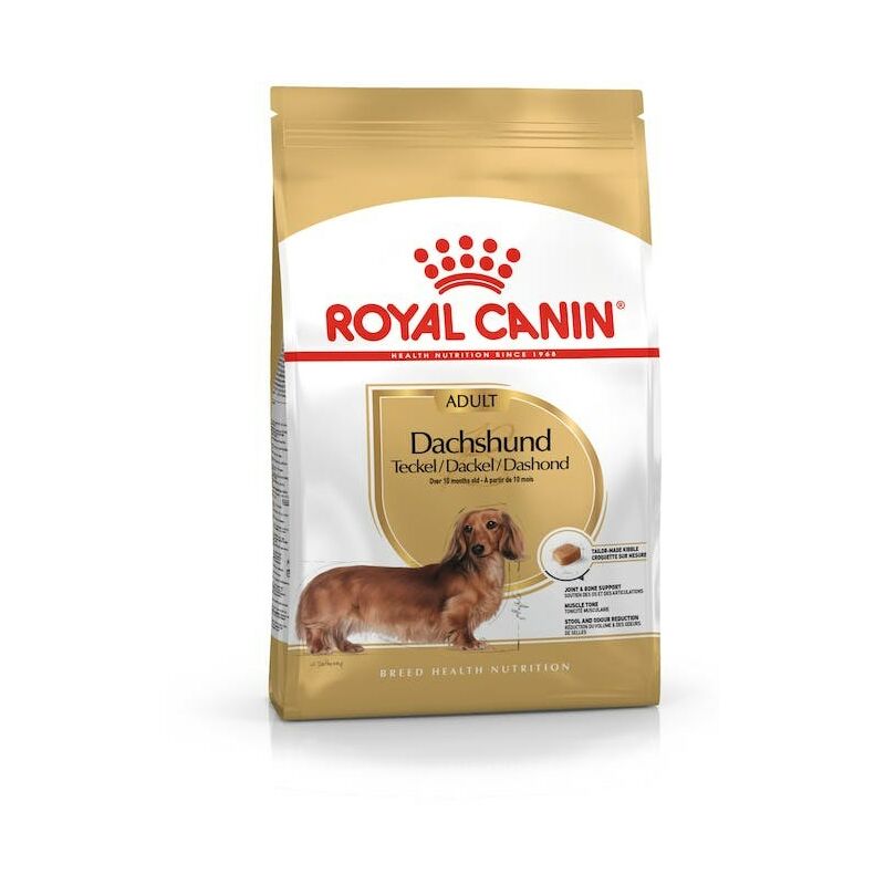 Royal Canin - Teckel Adult - nourriture sèche pour chien - 1,5 kg