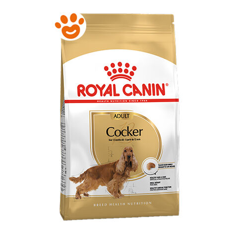 Royal Canin Dog Adult Cocker  - Royal Canin Dog Adult Cocker - Sacco Da 12 Kg