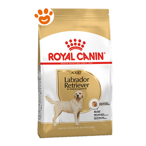 Royal Canin Dog Adult Labrador Retriever  - Royal Canin Dog Adult Labrador Retriever - Sacco Da 3 Kg