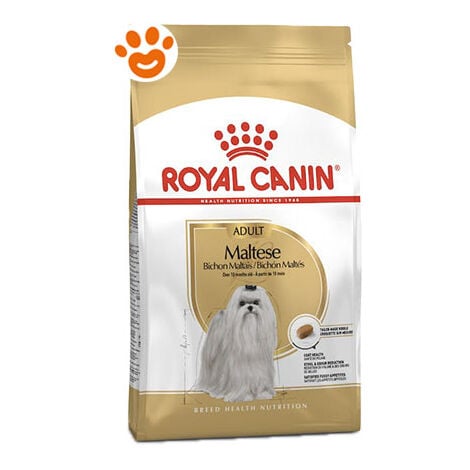 Royal Canin Dog Adult Maltese  - Royal Canin Dog Adult Maltese - Sacco Da 500 Gr