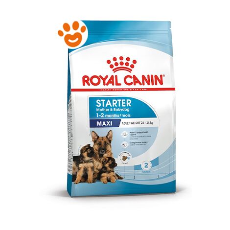 Royal Canin Dog Maxi Starter Mother & Babydog - Royal Canin Dog Maxi Starter Mother & Babydog - Sacco Da 4 Kg
