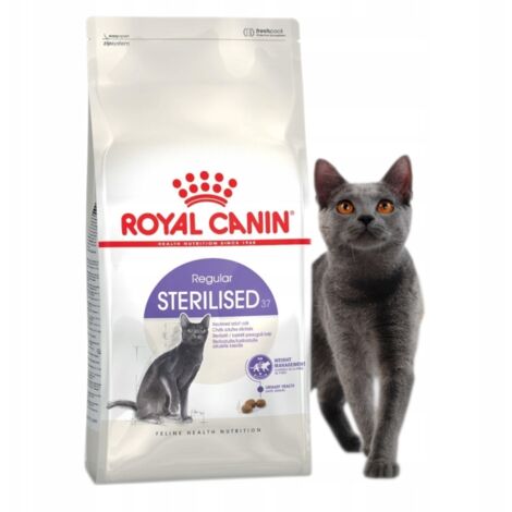 GASTROINTESTINAL KITTEN | Royal Canin DE GASTROINTESTINAL KITTEN | Royal Canin DE