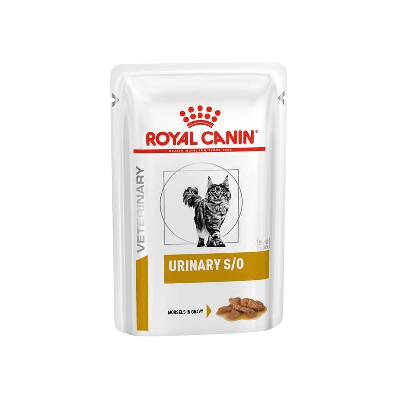 Royal Canin Chat Urinaire S/o Straccetti En Sachets Sauce 12x85 Gr